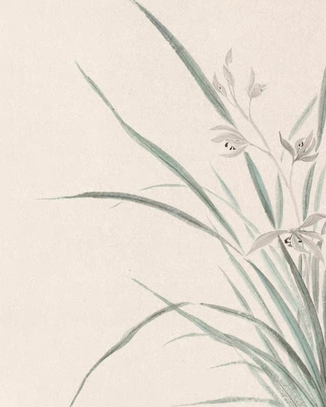 "Verdant Orchid Tranquility" Wall Art – French Vintage Zen Botanical Canvas with Premium Wood Frame