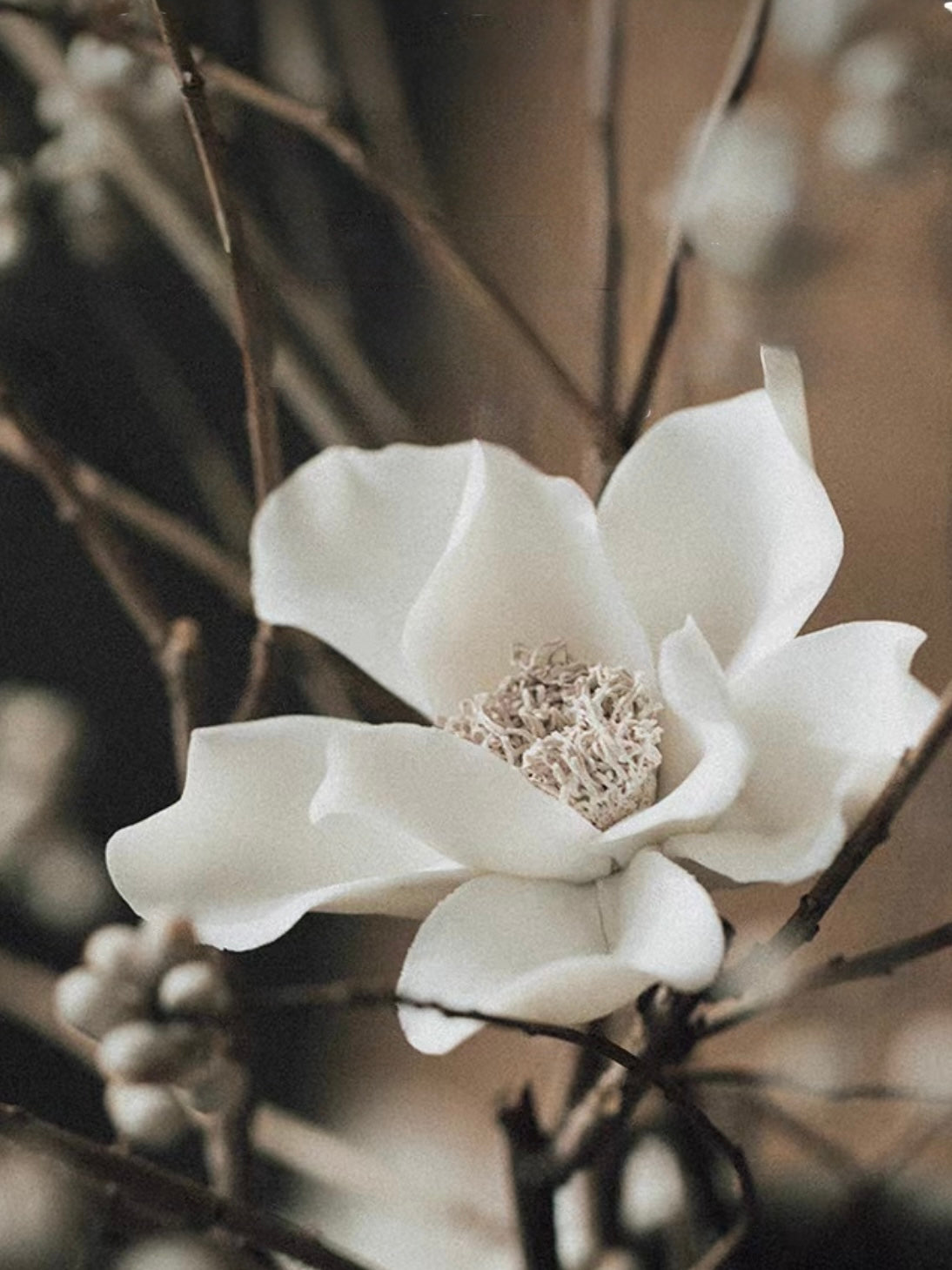 Handcrafted Gardenia Porcelain Incense Holder – Jingdezhen Ceramic Flower with Optional Walnut Wood Base