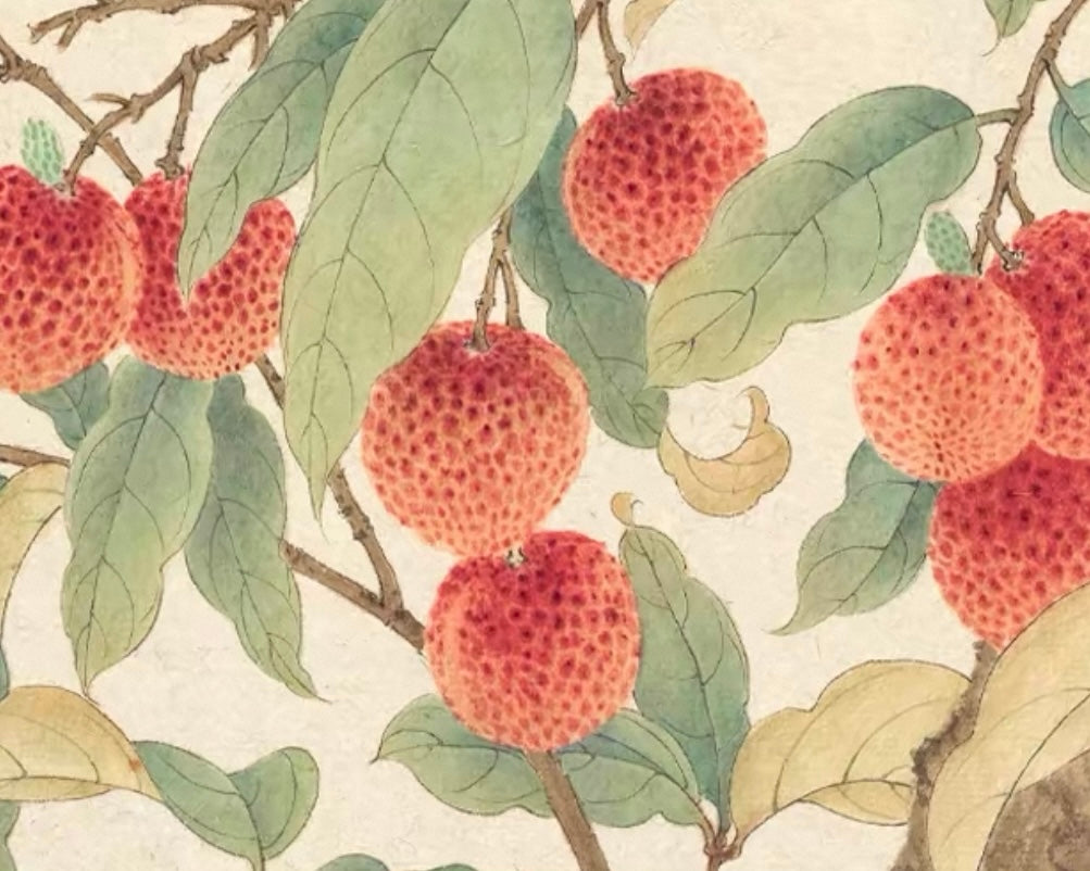 "Abundance of Lychees" Panoramic Wall Art – Museum Giclée Canvas for Luxury Interiors