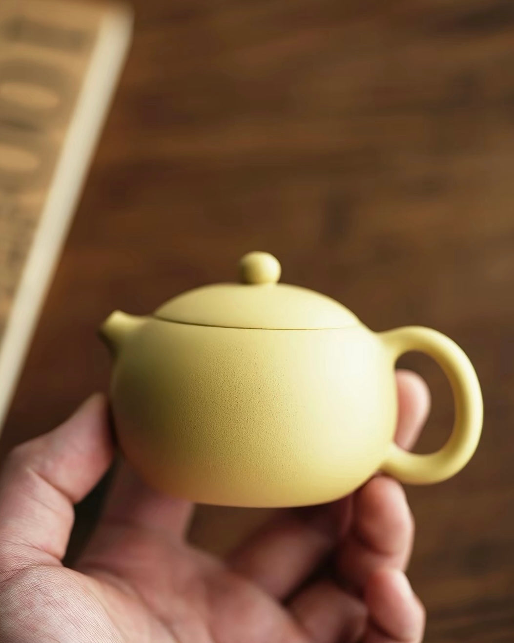 Xishi 120ml Yixing Benshan Luni Teapot