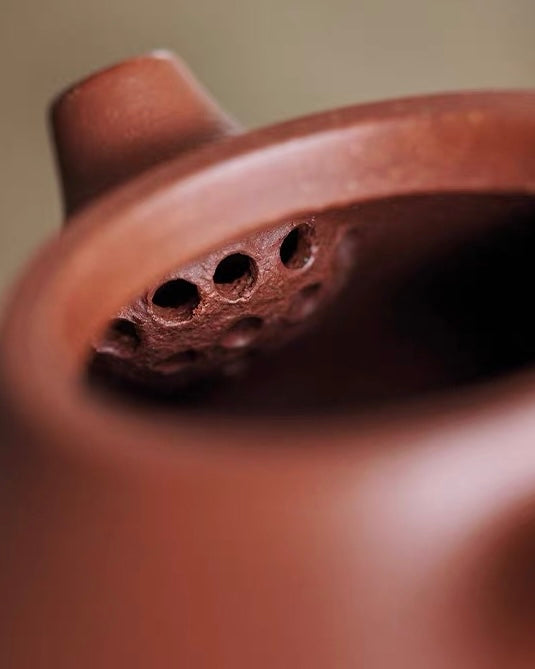 Wendan Xishi 150ml Yixing Jiangponi Teapot