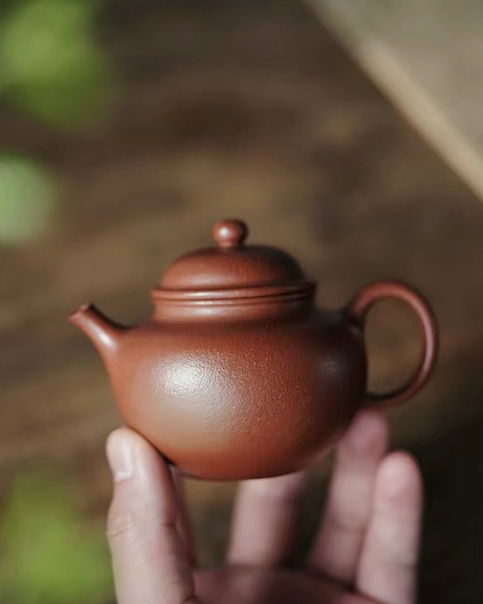 Duozhi 150ml Yixing Jiangponi Teapot